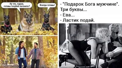 Приколы и смешные картинки. Подборка | Мастерская интроверта | Дзен