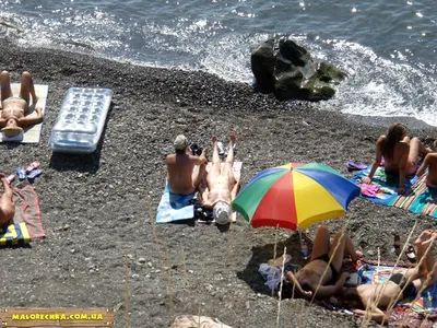 Нудистские пляжи в Сочи набирают всё большую популярность у туристов - 24  сентября 2023 - 93.ру