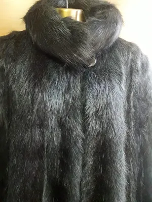 Нутрия — это не только ценный мех!