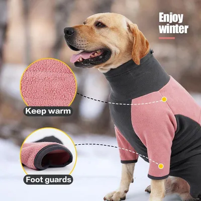Оберег для собаки от сглаза \"Защита металлом\" - купить с доставкой по  выгодным ценам в интернет-магазине OZON (1171363885)