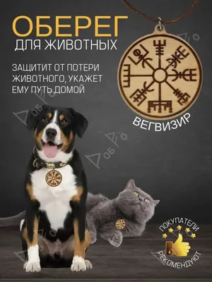 Защита от нападения собак - Купить защиту от нападений собак в Москве. Цена  в интернет-магазине Сигнал-сос.ру. Отзывы, характеристики, описание