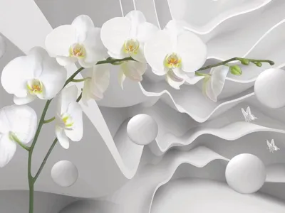 Фотообои Белая орхидея и абстракция на стену. Купить фотообои Белая орхидея  и абстракция в интернет-магазине WallArt
