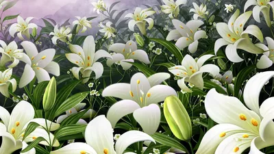 Цветы обои | Цветы, Пастельные цветы, Белые лилии