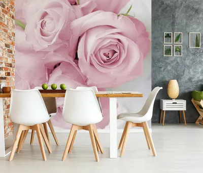 3D Фотообои «Нежные белые розы» - купить в Москве, цена в Интернет-магазине  Обои 3D