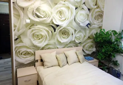 Фотообои на стену Белые геометрические фигуры с розами - Розы Объемная  геометрия