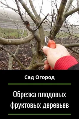 Обрезка Деревьев Киев и Киевская обл.