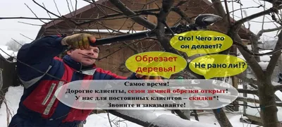 Обрезка плодовых деревьев - основные правила и инструкции