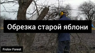 Обрезка старой яблони весной (зимой) 🍎🍏 - YouTube