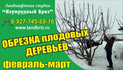 Уходные работы - Ландшафтная студия «Изумрудный бриз»