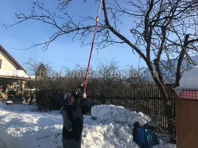 Обрезать деревья зимой | зимняя обрезка яблонь и плодовых деревьев