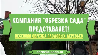 Обрезка деревьев | Pruning trees - Sacramento Tree Foundation