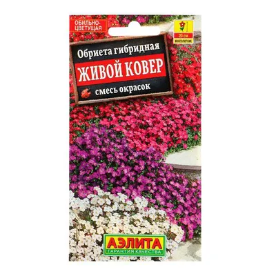 Семена обриета Аэлита Живой ковер 1 уп. - купить в Москве, цены на  Мегамаркет
