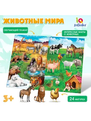 Обучающий набор животных \"Веселые животные\" с плакатом ZABIAKA 9687274  купить за 424 ₽ в интернет-магазине Wildberries