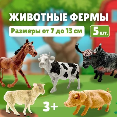 Обучающие книжки набор 6 шт. «Узнаём про всё вокруг», 108 животных и птиц