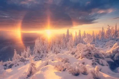 Зима на фото | 30 красивых зимних фотографий