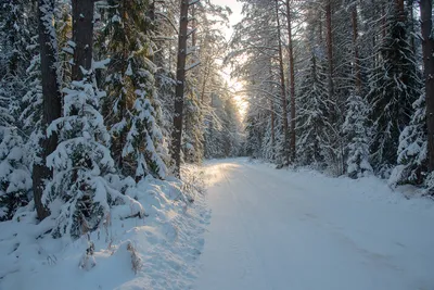 Зима в горах! Самые красивые места захватили участники конкурса  #Winterspiration - Блог Answear.ua