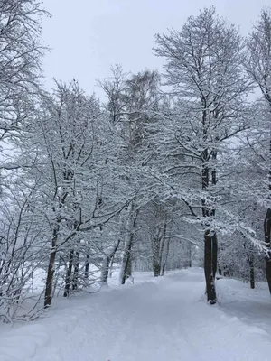 Красивой зимы пост