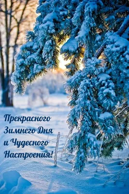 Как сделать красивые фото зимой | theGirl