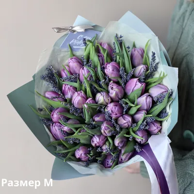 Тюльпан (Tulipa) - «Хочу поделиться с вами этой красотой! 🌷🌷🌷 Впустите  весну в свою душу! Расскажу, где выгоднее всего покупать цветы к 8 марта.»  | отзывы