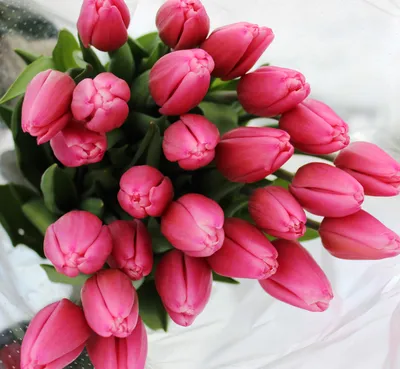 Букет из тюльпанов и лаванды - заказать доставку цветов в Москве от Leto  Flowers
