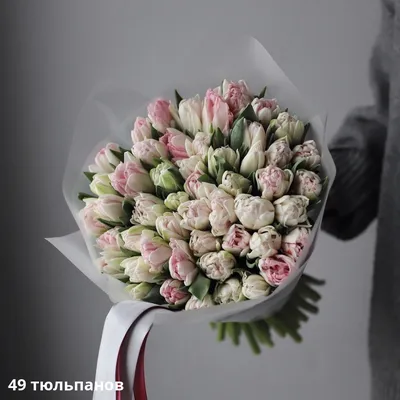 Купить недорогие цветы «Тюльпаны» в Рязани в интернет-магазине «Астра»
