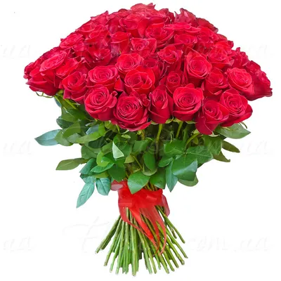 Купить букет из 101 бордовой розы 70 см по доступной цене с доставкой в  Москве и области в интернет-магазине Город Букетов