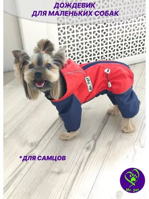 Mr.pet одежда для собак Дождевик для маленьких собак