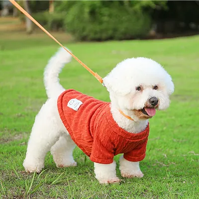 Mr.pet одежда для собак Дождевик для маленьких собак