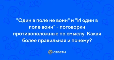 Истинный смысл поговорки «Один в поле не воин», который вы наверняка не  знали! Чему действительно нас учит эта мудрость | Мастер Вселена | Дзен