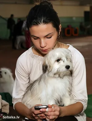 В Украине есть своя порода собак (+ФОТО) – Головне в Україні