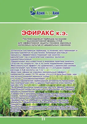 Двудольные сорняки: фото, причины появления, как избавиться, препараты  Август