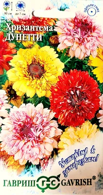 Хризантема Дунетти, смесь окрасок 0,3г, семена | Купить в интернет магазине  Аэлита