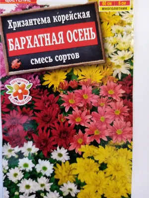 Купить семена Хризантема Радость в каталоге семян с доставкой почтой