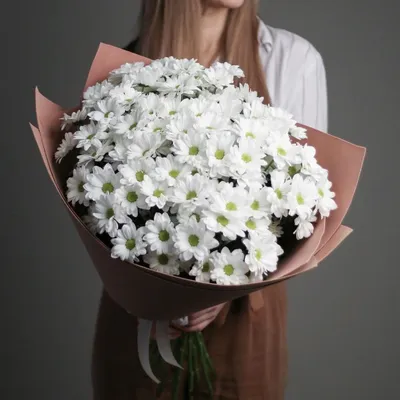 Хризантема Энона оранжевая - Сад цветов - Магазин рассады цветов в Барнауле