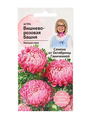 Флокс друммонда смесь 0,1 г, семена для выращивания однолетних цветов для  сада дачи и дома, однолетние цветы | AliExpress