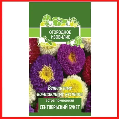 АГРОСИДСТРЕЙД Астра Вишнево-розовая башня 0,3 г / семена однолетних цветов  для сада / однолетние цветы / для дачи