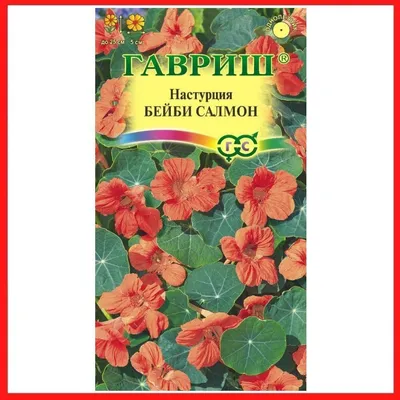 Бегония клубневая Шансон Ярко-красная F1 6 шт, семена однолетних цветов для  сада дачи и дома, однолетние цветы для балкона | AliExpress