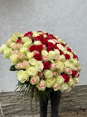 ᐉ Букет из 23 роз. Белые и розовые розы в стильном оформлении купить в  Алматы, отличная цена 23325.00 тенге | Интернет-магазин «Cvetok24»