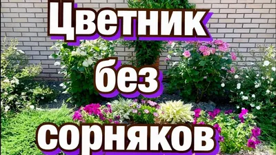 Клумбы. Оформление клумб на участке, страница 8. Воспитателям детских  садов, школьным учителям и педагогам - Маам.ру