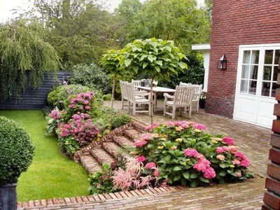 Лилии в саду: фото, оформление участка, сочетание на клумбе с другими  цветами