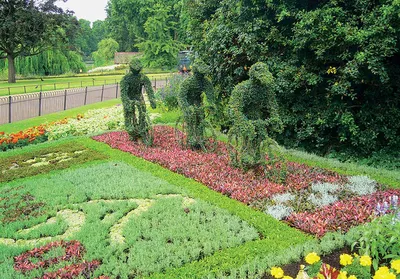 Цветы на даче: дизайн своими руками - дизайн клумб на даче | Houzz Россия