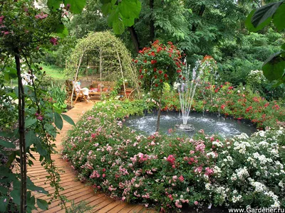 Круглая клумба в саду: советы по оформлению, идеи дизайна и готовые схемы  (40 фото) - Дом Mail.ru