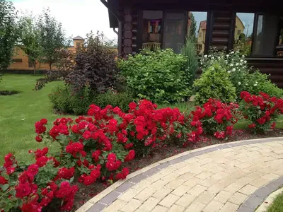 Создание цветников и клумб в Москве. Каталог и цены -Студия ландшафтного  дизайна