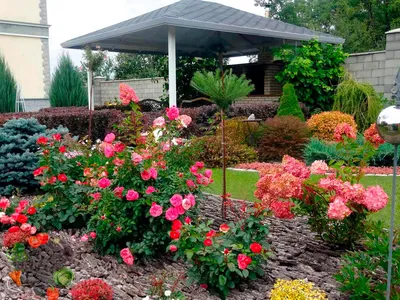 Дизайн клумбы, цветники и клумбы своими руками, в саду цветочные клумбы из  роз, ландшафтный дизайн. | Растения | Ландшафт | АССбуд — строительный  портал