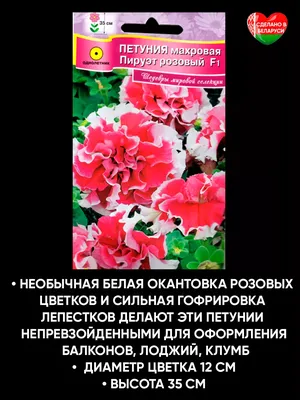 Петуния — королева сада». Оформление территории детского сада (9 фото).  Воспитателям детских садов, школьным учителям и педагогам - Маам.ру