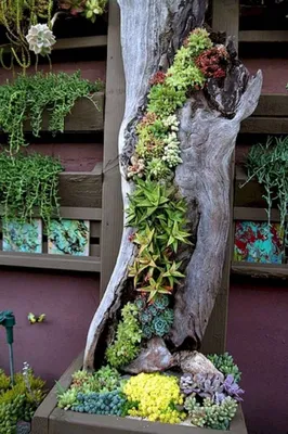 Благоухающий декор: как украсить садовый участок своими руками с помощью  цветов | Winter Story - Eli.ru | Дзен