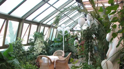 Авторский дизайн зимнего сада в частном доме