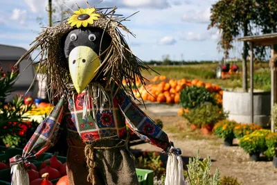 Огородное чучело своими руками фото