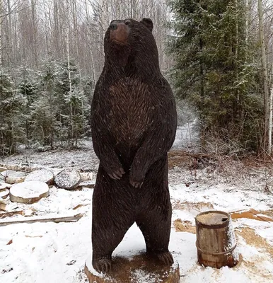 Величественный медведь и его фото в webp