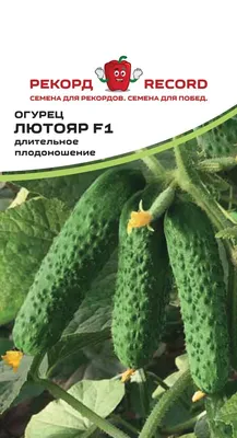 ✓ Семена Огурец Лютояр F1, 7шт, Vita Green Экстра, Yuksel Tohum по цене 110  руб. ◈ Большой выбор ◈ Купить по всей России ✓ Интернет-магазин Гавриш ☎  8-495-902-77-18